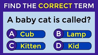 Vocabulary Challenge: Find The Correct Term! #challenge 20