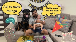 Dog and baby celebrating dad's birthday | Happy Birthday 🎉🥳