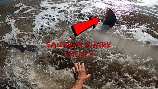 SANDBAR SHARK FRENZY | 38 MPH Winds! | Shark Fishing (Matagorda, TX)