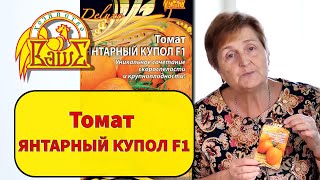 Томат Янтарный купол F1