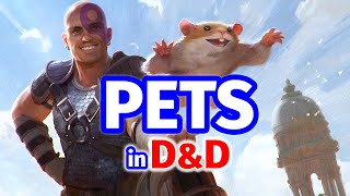 Do you have Pets in your D&D Game? Favorite Pet stories - Dungeon Master Round Table - #DnD Pets