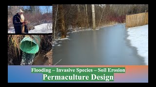 PERMACULTURE Design used to solve FLOODING & EROSION challenges to create a FOOD FOREST.