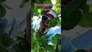 Insta360 GO 3 surprise #insta360 #insta360owner #insta360go3