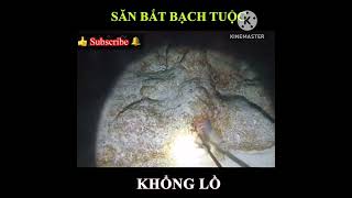 SĂN BẮT CÁC LOẠI.HẢI SẢN TƯƠI NGON.MỜI MỌI NGƯỜI XEM VIDEO.ỦNG HỘ KÊNH E NHÉ.E XIN 1 NÚT ĐĂNG KÝ Ạ❤️