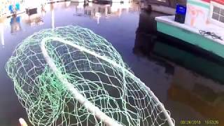 REALITY OF FISHING EP18     PART 1 OF 4 SNAPPERS AND CRABS WITH FAMILY