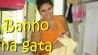 Dando banho na gatinha