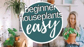 EASY HOUSEPLANTS FOR BEGINNERS SPRING 2019 // SPRING 2019 PLANT HAUL // EASY HOUSE PLANTS