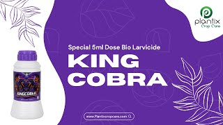 KINGCOBRA (Special 5ml Dose Bio Larvicide)