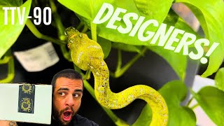 Insane new Designer Green Tree Pythons added to the Trap