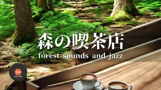 Ambient sounds + JAZZ Gentle Forest sounds Relaxing work/study CAFE MUSIC - BGM for work☕