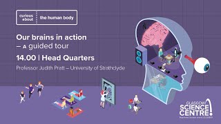 Our Brains in Action - A Guided Tour