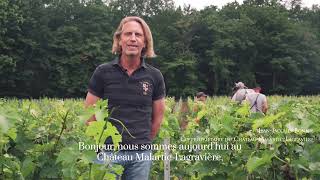 Chateau Malartic-Lagraviere, travail du sol et agroécologie juin 2021