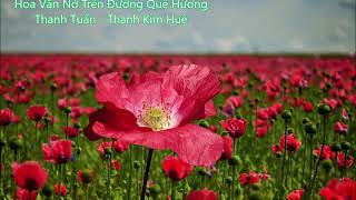 Hoa Vẫn Nở Trên Đường Quê Hương - Thanh Tuấn - Thanh Kim Huệ