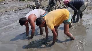 Fishing scene in recession।। amazing fishing।। village fishing।। rsl fish cutting