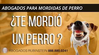 Abogado en Seattle para Mordidas de Perro