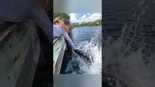 Narrowly Escaped #shorts #shortsfeed #shortvideos #shortfeed #shortsvideo #shortsviral #awesome