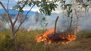 Voraz incendio 🔥 en el Barrio El Galán en El Bordo Patia Cauca.  Magazin Patia 2.024