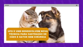 Cortes Se Liga 13/05 | UFG e UNB desenvolvem nova técnica de castração de cães e gatos sem cirurgia