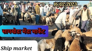 सायखेडा मेंडा मार्केट । famous ship market in maharashtra nashik.