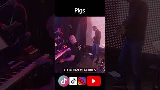 Pigs - Floydian Memories