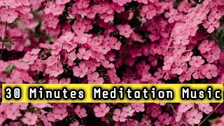 30 Min. Meditation Music for Positive Energy - Inner Peace Music, Healing Music, Relax Mind Body