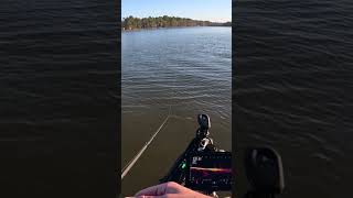 Fish Scared Of Sonar !?  #bassfishing #lakewinnipeg #Bassmaster #livescope #toledobend