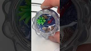 MGA Miniverse Make It Mini Lifestyle Custom DIY Aquarium | Miniature Collection Craft (Part 3/5)