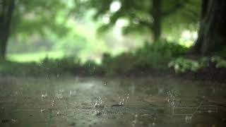 Lluvia Relajante # 6 Relax / Dormir / Anti Stress 🌧️🌧️🌧️🌧️