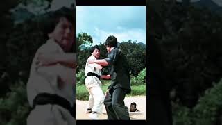 The Weaknesses of Bruce Lee's Martial Arts