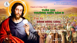 🔴Thánh Lễ CHÚA NHẬT -TUẦN XIX - THƯỜNG NIÊN - NĂM B - 20g00 - 11/08/2024