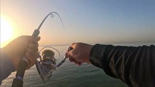 NAKADALI NG STINGRAY AT PUSIT  MORNING FISHING