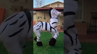 Dope Zebra