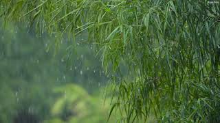 Fall Asleep Instantly | City Battered by Strong Winds and Torrential Rain During a Spring Storm