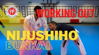 Sensei Abian & Jumoke working out Bunkai to Nijushiho (Shotokan Karate)