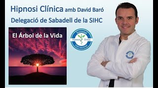 Hipnosis para la ansiedad y realización de objetivos, El Árbol de la Vida. David Baró