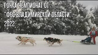 Чемпионат ФЕС Владимирской области 2022 в Доброград / Sled Dog race Championship of Vladimir Region