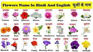 Flowers Name in English And Hindi With PDF | फूलों के नाम | flowers with pictures |(part 1).