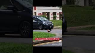 Rooster Crossing a Road, April 24