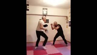 JEET KUNE DO TRAINING JUN FAN - JKD BOXING