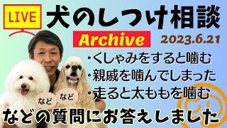 犬のしつけ相談ライブ☆ゲリラライブ 【アーカイブ 2023/06/21】