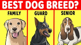 How To Pick The Perfect Dog Breed For You