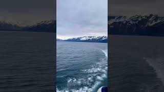 Beauty of Alaska captured from the Kenai fjords national park cruise! #seward #alaska #travelvlog