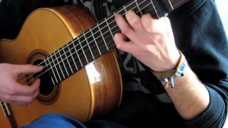 Fallen Leaves - Billy Talent Cover on Classical Guitar