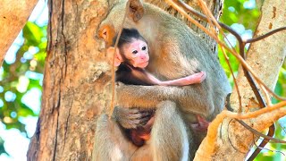 Cute Newborn Baby Performs Great Actions Inside Mother's Chest On The High Tree