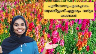 പുതിയൊരു പൂക്കച്ചവടം തുടങ്ങീട്ടുണ്ട് എല്ലാരും വരിട്ടാ കാണാൻ | Flower Farm | Fitness Travel Eat