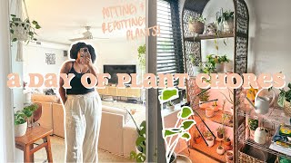 A day of plant chores | repotting, potting propagations + a mini plan tour