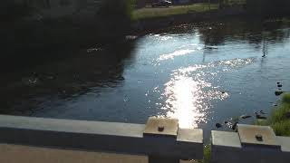 Morning Sun on Kalamazoo River