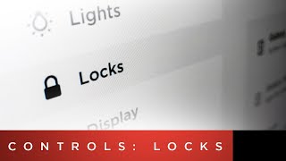 Tesla Model 3 Tutorial | Controls: Locks