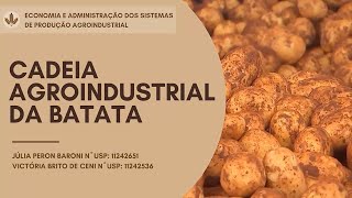 Cadeia Agroindustrial da Batata - Grupo 17