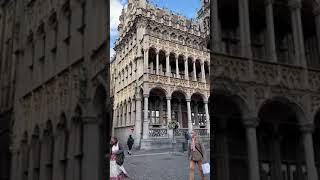 Brussels central #catedral #brussels  #belgium #shorts #shortvideo